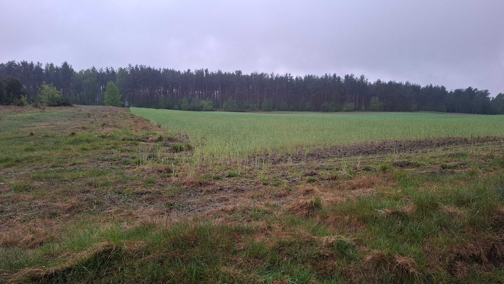 Działki budowlane Stara Kiszewa