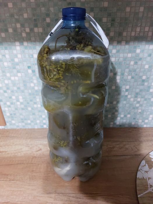 Ogórek kiszony wysyłka