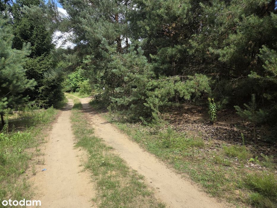 Łowyń - blisko jeziora, budowlana, media, mpzp