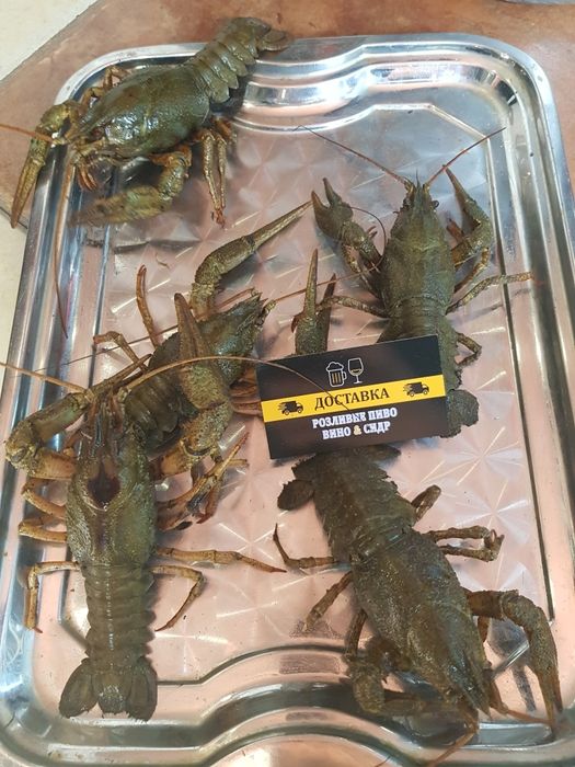 АКЦІЯ рак річковий і ставковий доставка