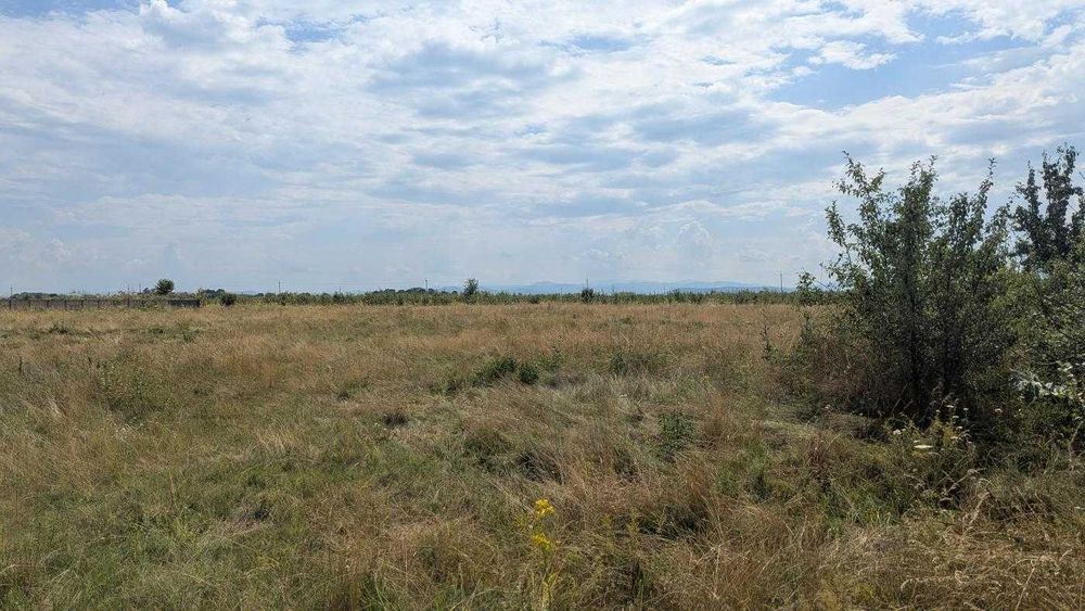 Продається ділянка 25 сот під будову с.Камінне(12)
