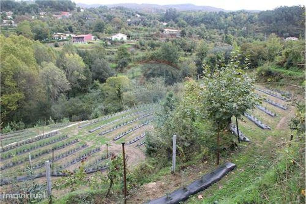 Terreno  para venda — Balança, Braga