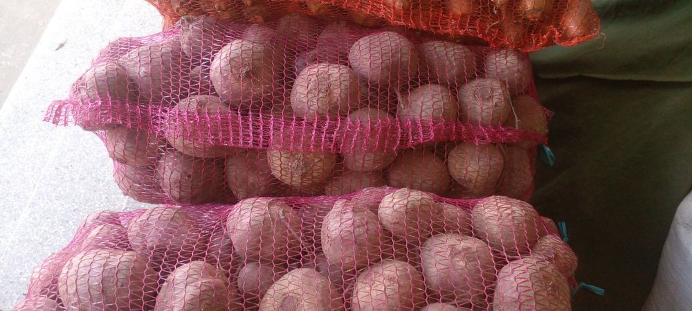 Червоні буряки темний