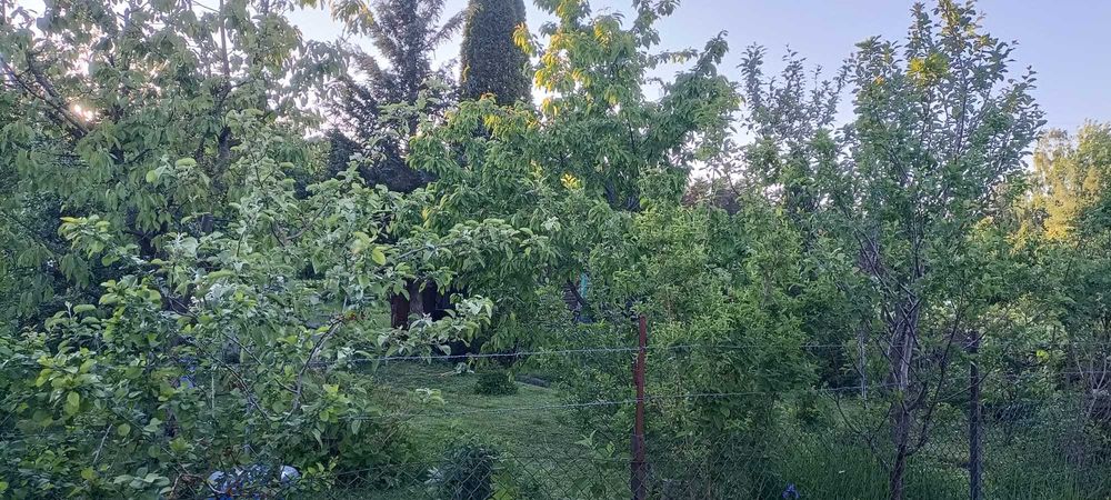 sprzedam działkę ROD w Olsztynie, Słoneczna Polana - Widok 5