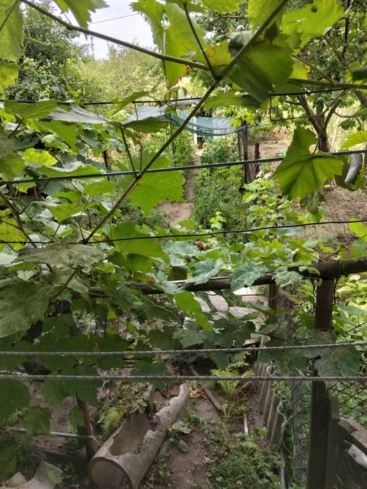 Продам двокімнатну квартиру