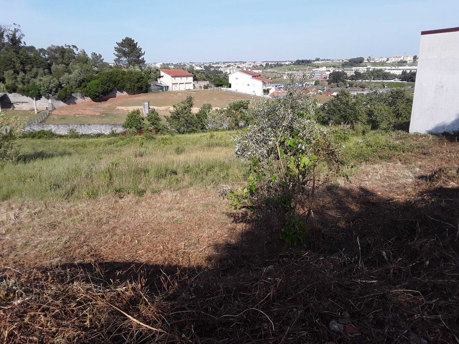 Lote para construção, zona de Santa Clara, em Leiria.