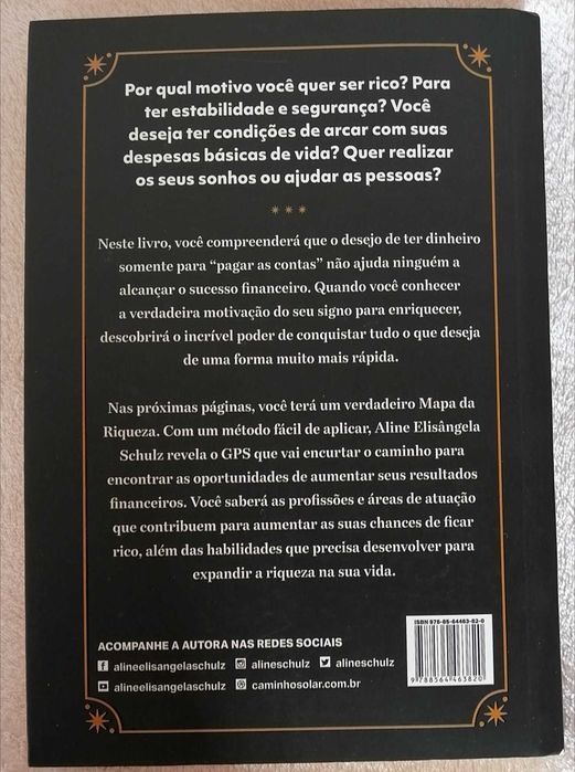 O Mapa da Riqueza - Aline Elisângela Schulz
