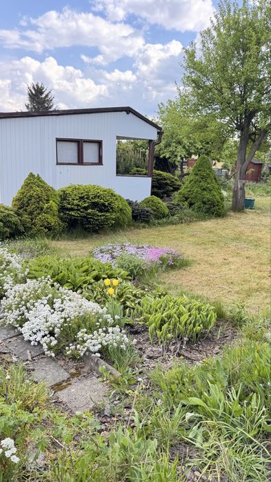 Prawa do dzialki ROD 400 m2 Koninko