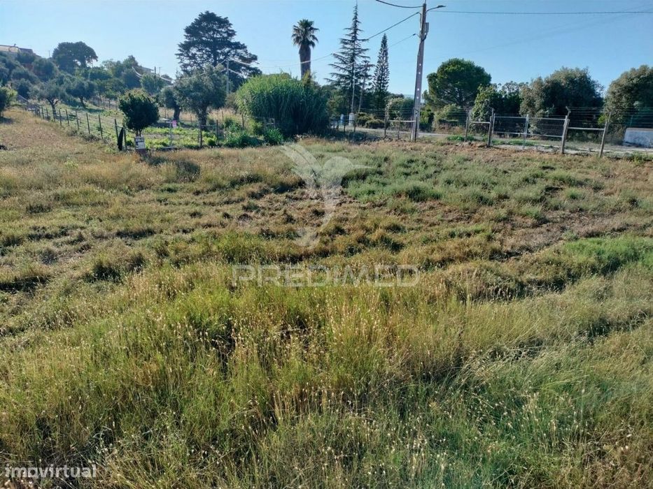 Terreno Urbano na entrada Principal de Torres Novas — Torres Novas (São Pedro), Lapas E Ribeira Branca, Santarém