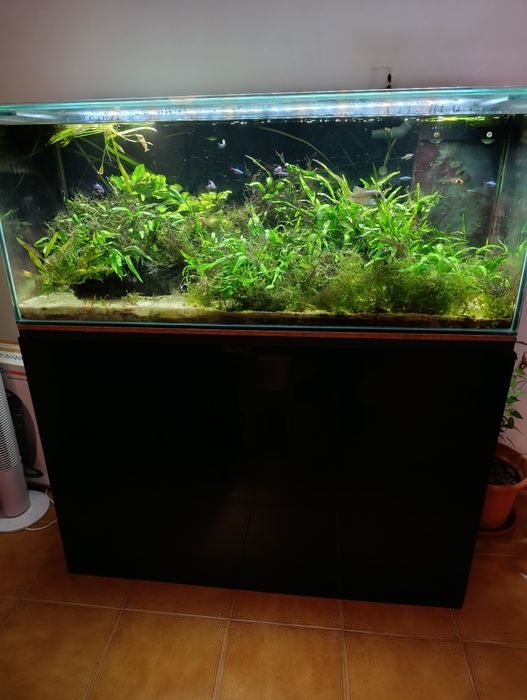 Aquário completo 120x50x50 + sump