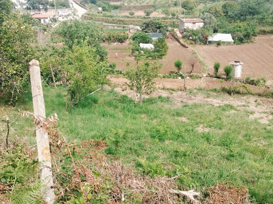 Vende-se Terreno de Cultivo com Currais para Animais – Aveleira - Penacova