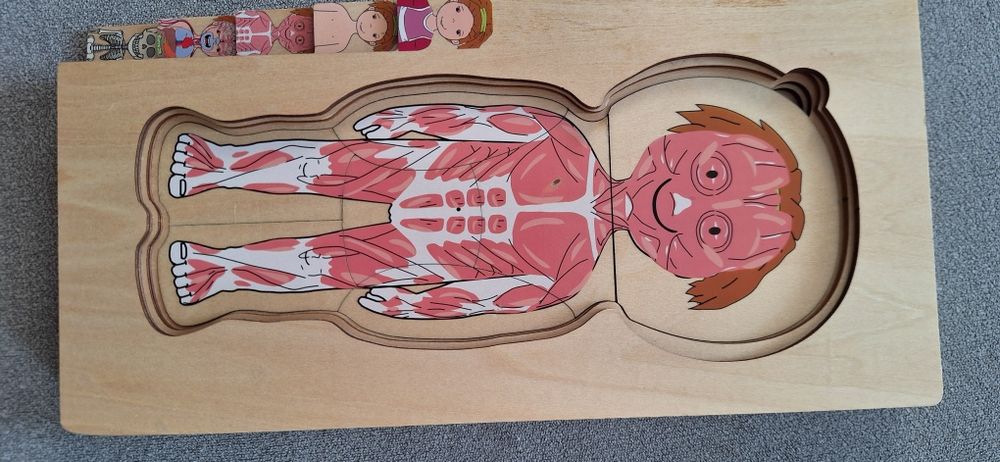 Drewniana układanka edukacyjna Ciało, anatomia człowieka- dziewczynka