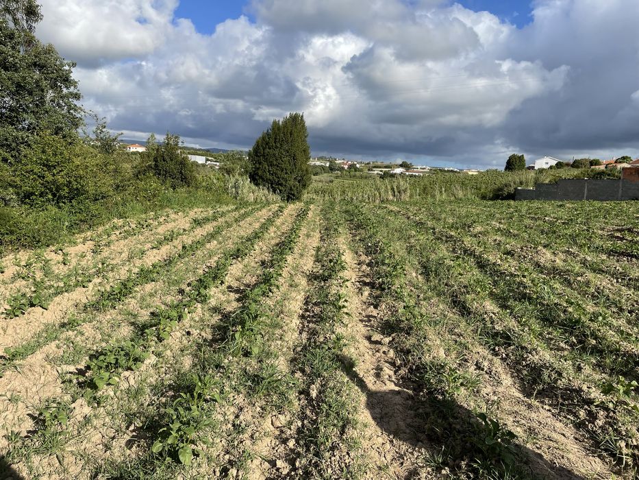 Vendo ou troco Terreno rustico