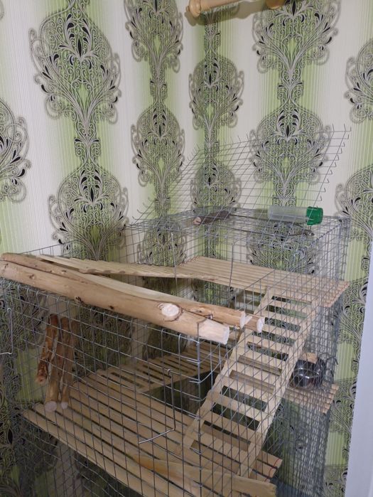 Клетка для попугая.