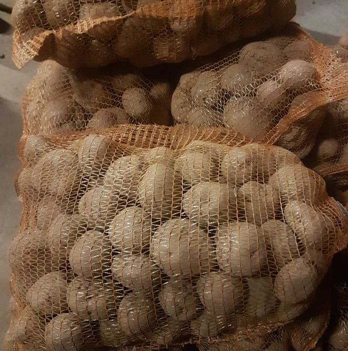 Ziemniaki Bryza i Wineta/Vineta