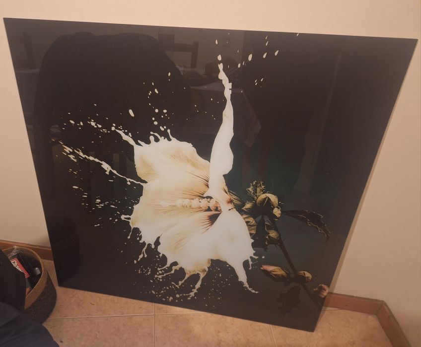 Quadro schuller em vidro