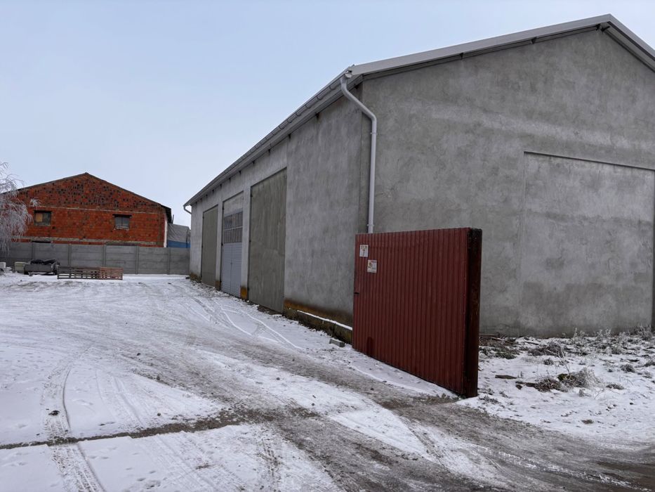 Na wynajem hala, warsztat 350m2.