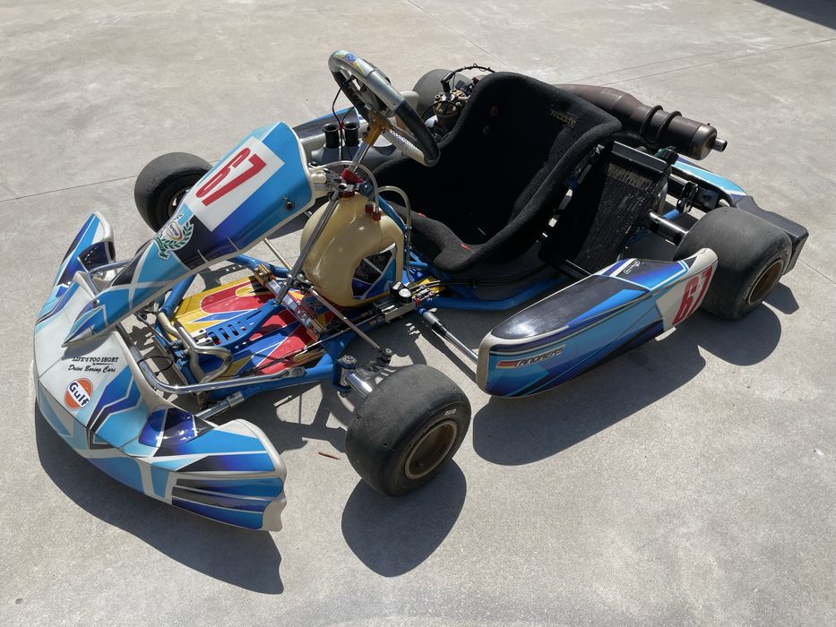 Kart Fernando Alonso | Motor Vortex 125 cc | 38 cv