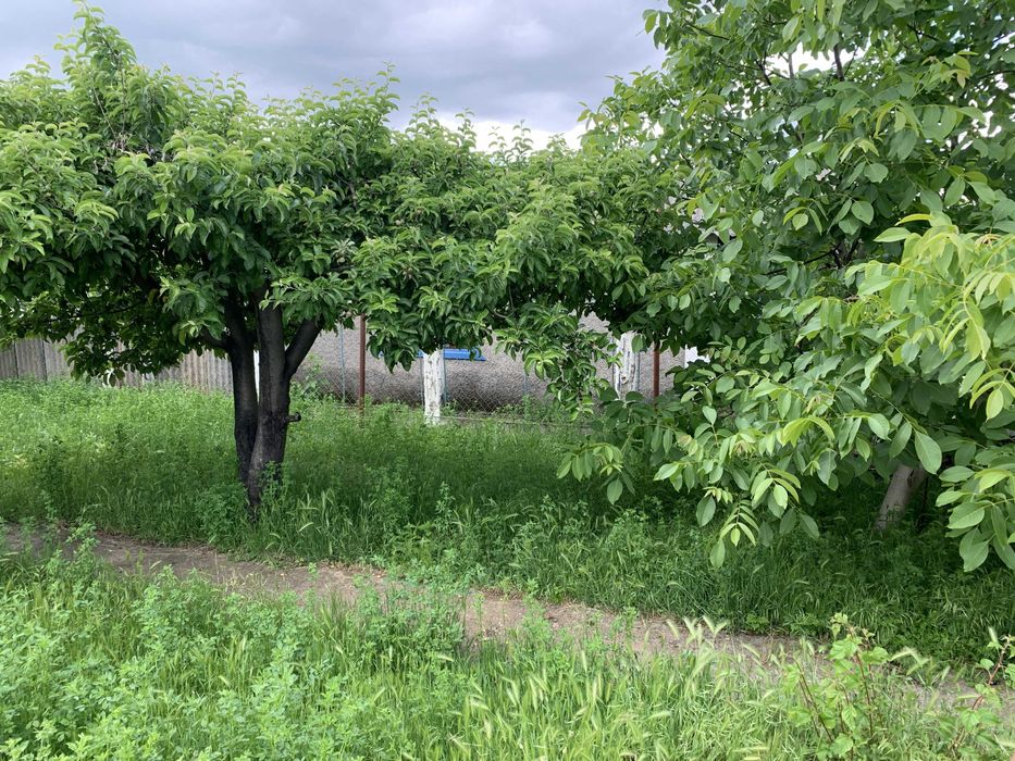 Продам будинок 65 м² у с. Грушівка, 18 км від Покрова - газ, опалення, сад, гараж