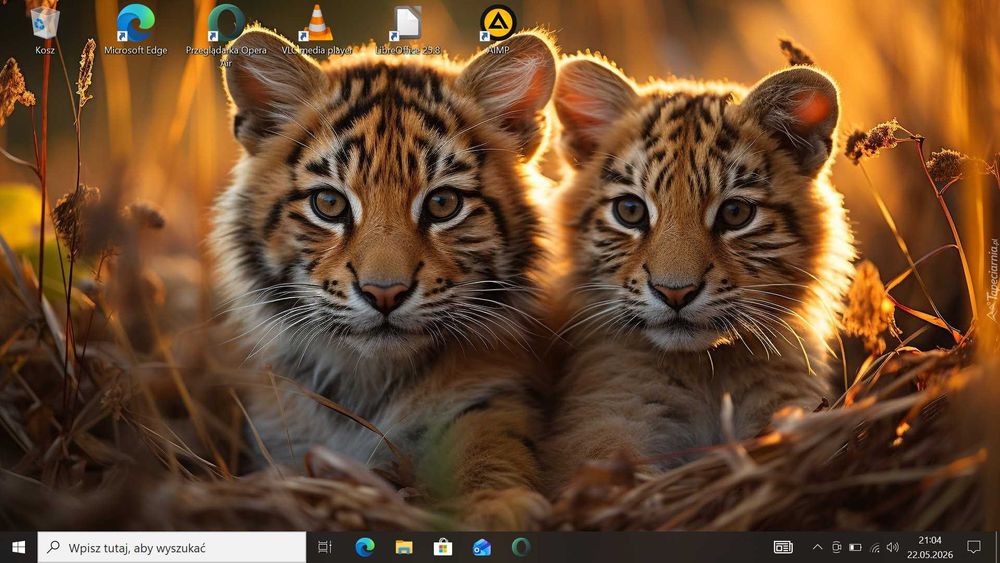 TANIO Lenovo IdeaPad 120S Intel/4GB/SSD eMMC/Bateria OK