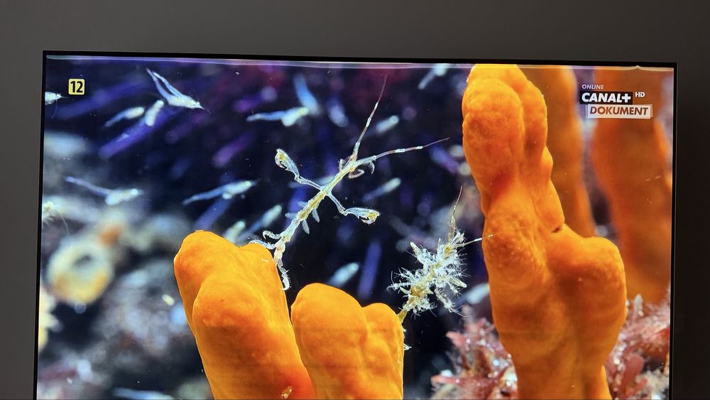 Telewizor LG 65B7V 65" OLED 4K 120Hz WebOS Dolby Atmos