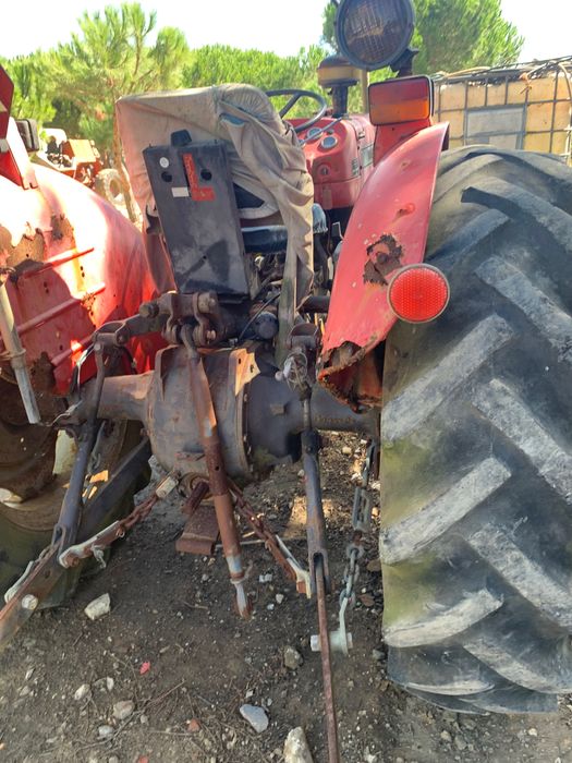Massie Fergunsou 240 Mafra