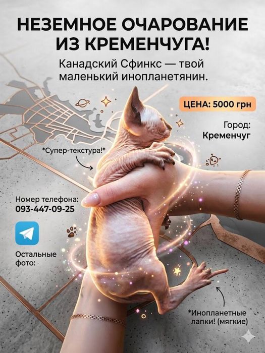 Конадские сфинксы