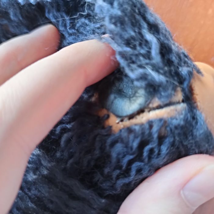 Monster high монстер хай запчастини голова клодін