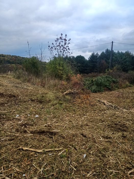 Mulczer leśny, Kosze traw, Wycinka drzew. Rębak, Transport
