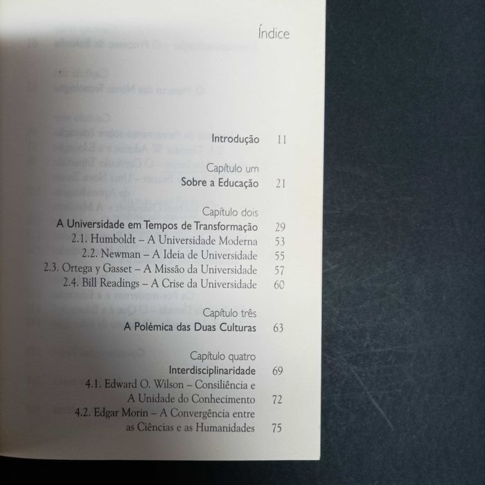 A Universidade e Cultura – Luísa Leal Faria  Ensino Superior, da ruptura à inovação – Maria Laura Bettencourt Pires