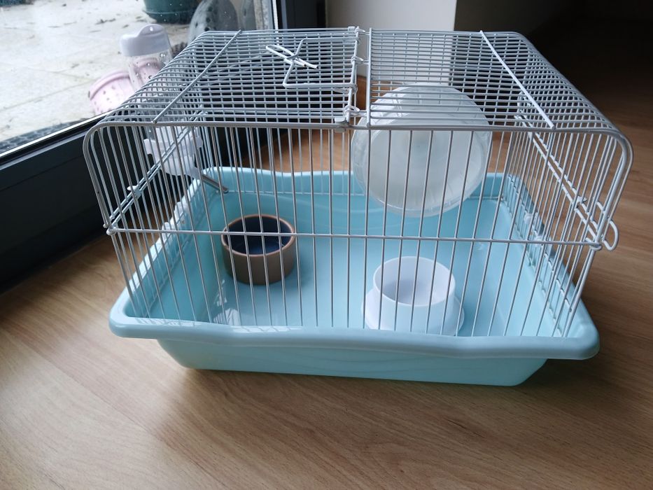 Kit completo hamster