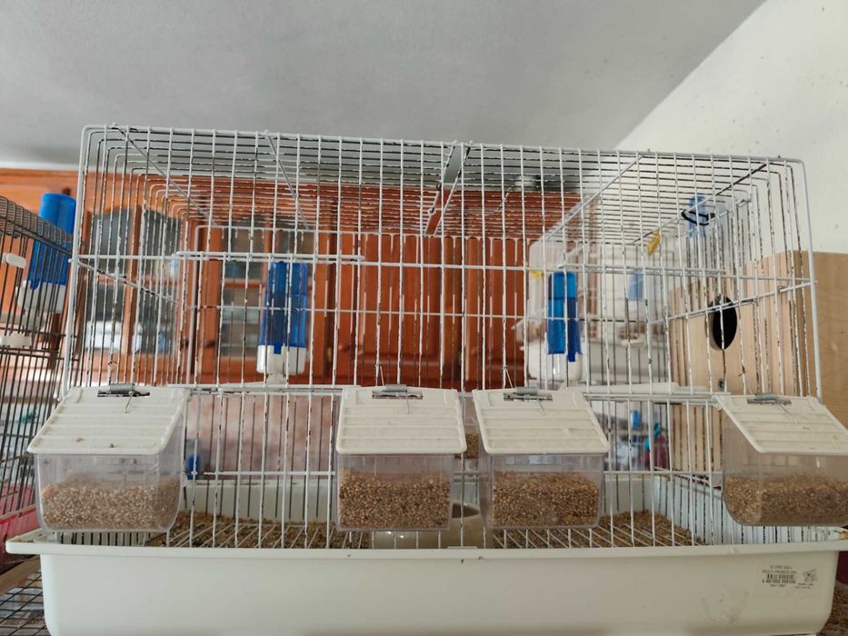Gaiolas em bom estado