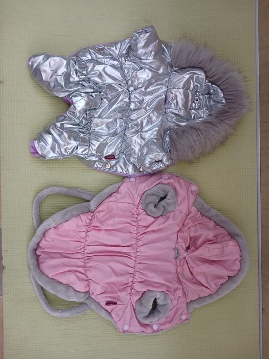 Одежда для собачки