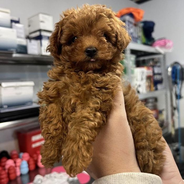 Когда в доме появляется уют