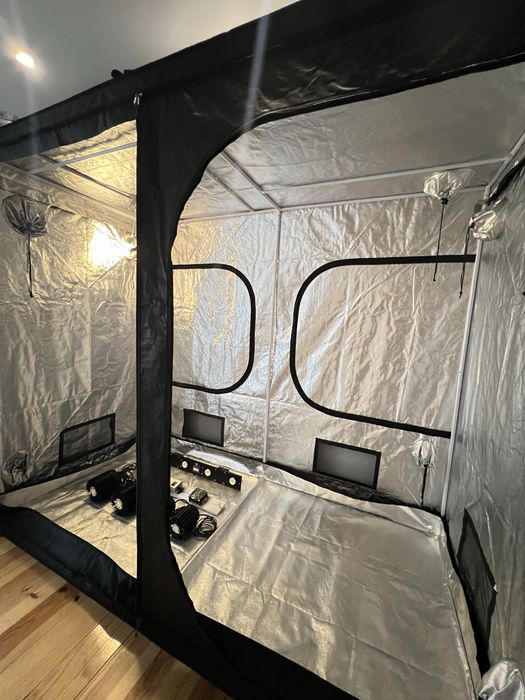 Tenda de cultivo e luzes led