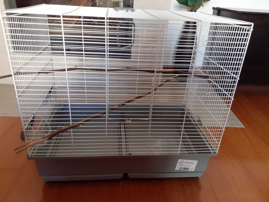 Gaiola Voltregá - NOVA