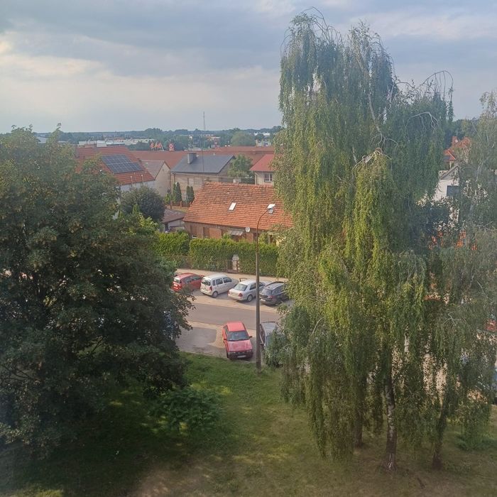 Mieszkanie na wynajem