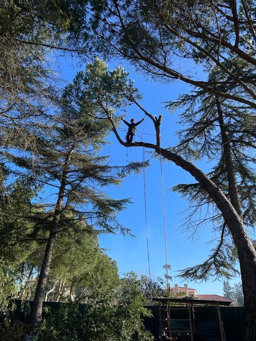 Resgate de drones em altura.