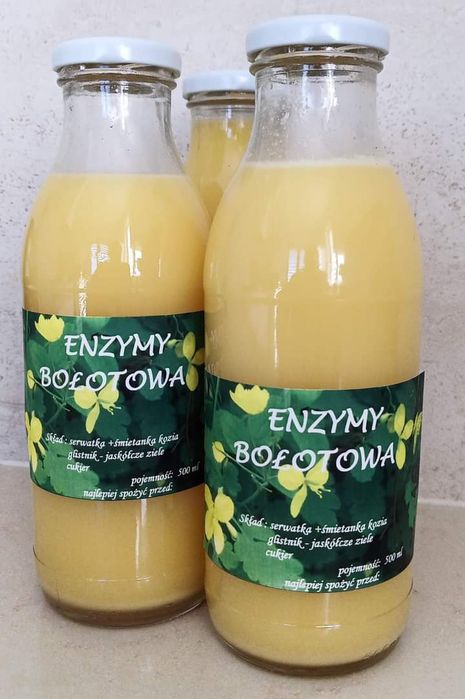 Enzymy, zakwas Bołotowa