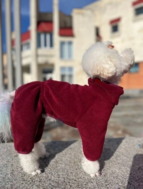 Комбинизон на прогулку, пижама  для собак