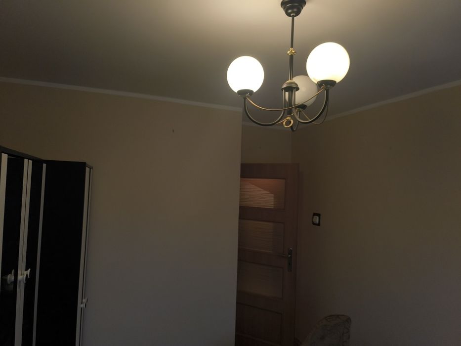 Zdjęcie 8