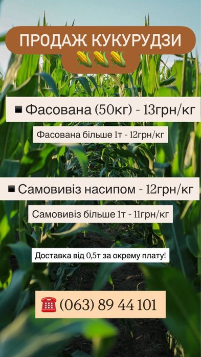 Кукуруза сухая на корм