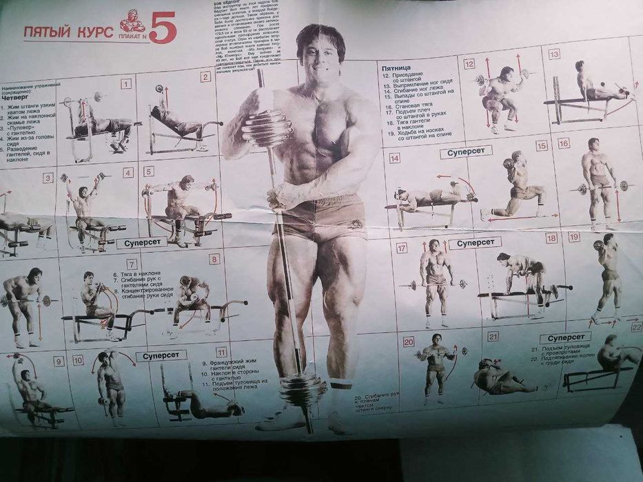 Дж. Вейдер Система строительства тела