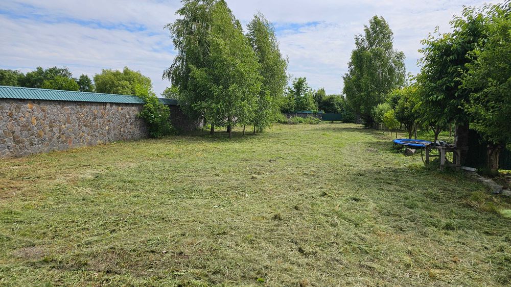 Стрижка газону, аерація, догляд і обробка рослин, дерев, покос бур'яну