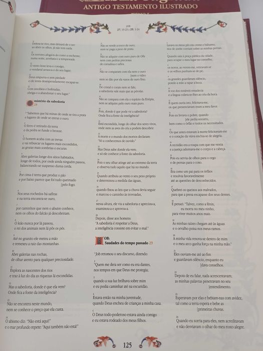 Bíblia Sagrada - Antigo testamento 2 volumes
