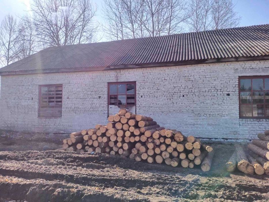 Будівля цеху деревної стружки площею 228,4 кв.м, Рівненська обл.