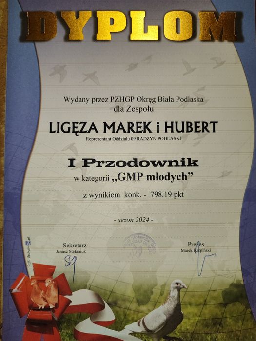 Młode gołębie pocztowe – 2026