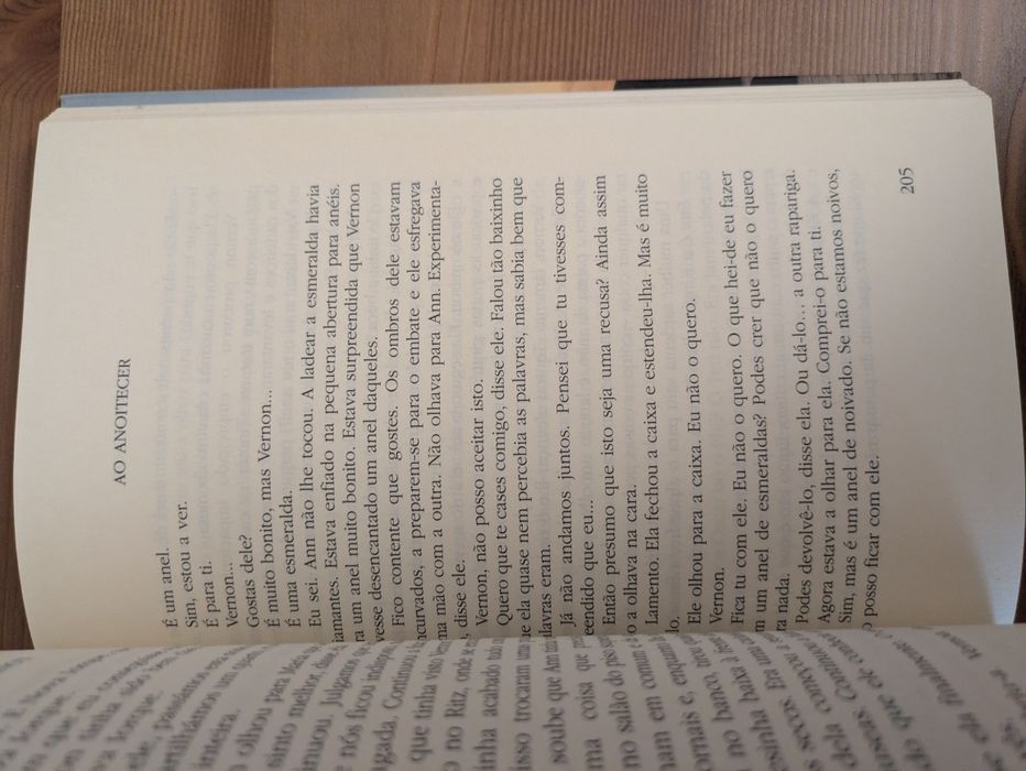 L " Ao anoitecer " Susan Minot (Optimo Estado)