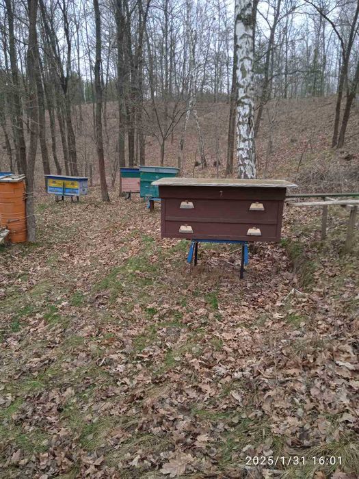 Продам улья для пчел с подставками, медогонку