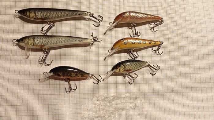 Woblery kleniowo - okoniowe TAPS